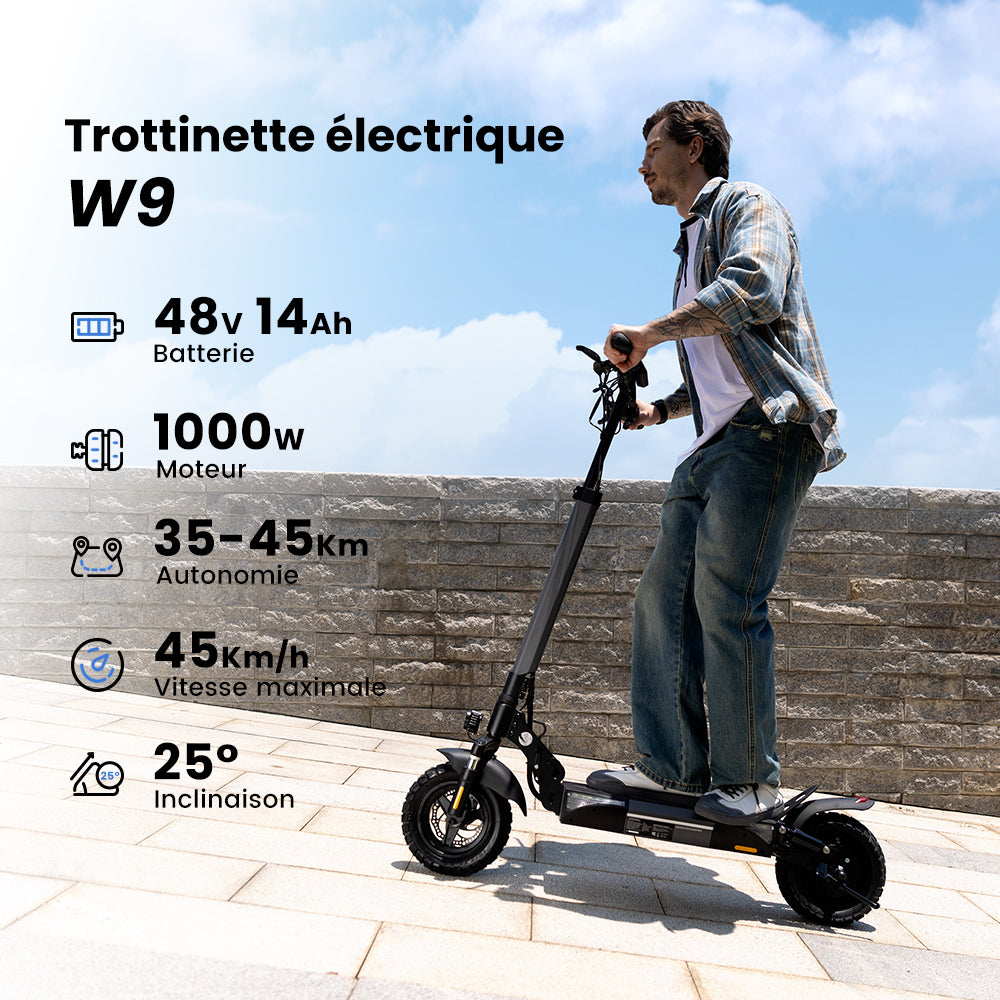 iScooter iX3 800W Trottinette électrique Tout Terrain