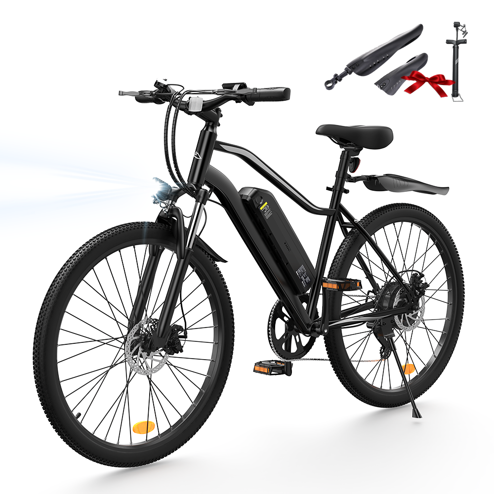 Vélo Électrique de Montagne EB3