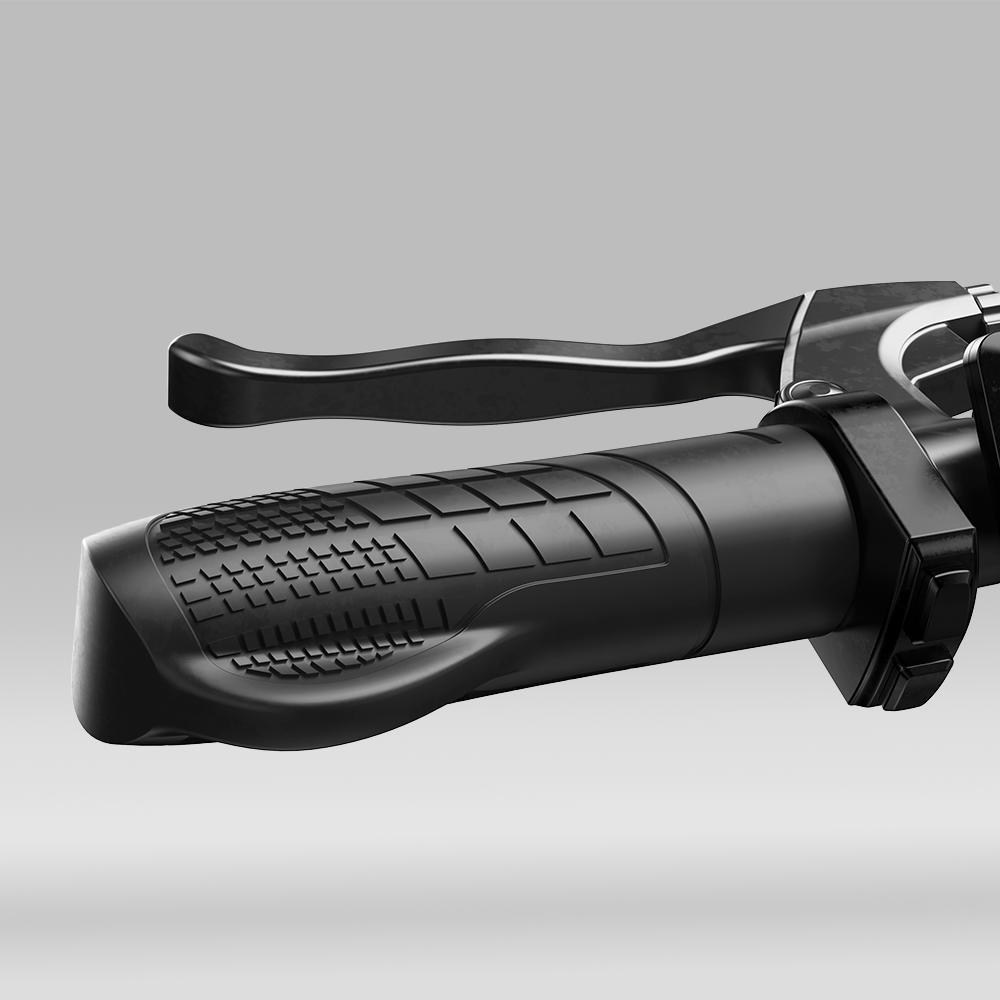 Vélo Électrique de Montagne EB3