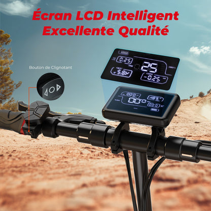 iScooter iX3 800W Trottinette électrique Tout Terrain