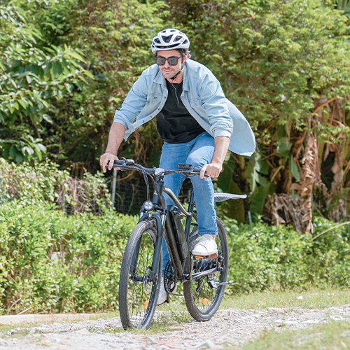 Vélo Électrique de Montagne EB3
